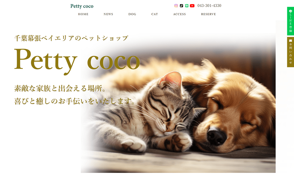 Petty cocoの画像